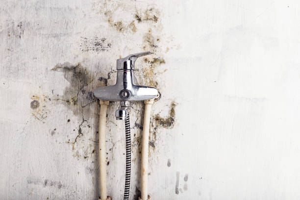 Best Office Mold Removal Services  in Lake Ripley, WI