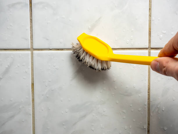 Best Attic Mold Removal  in Lake Ripley, WI