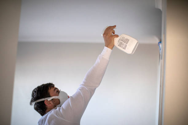 Best Emergency Mold Removal  in Lake Ripley, WI