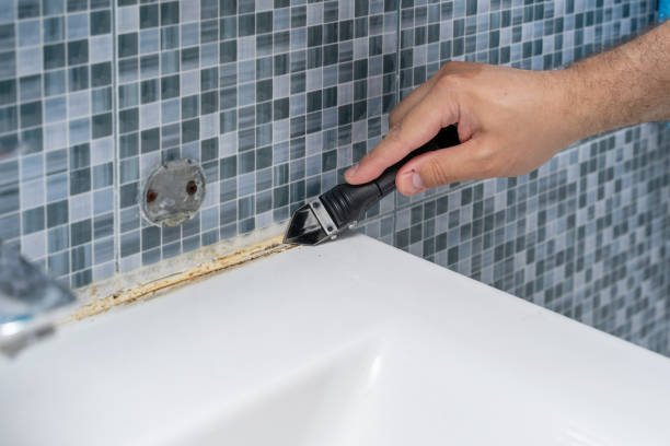 Mold Removal Process in Lake Ripley, WI