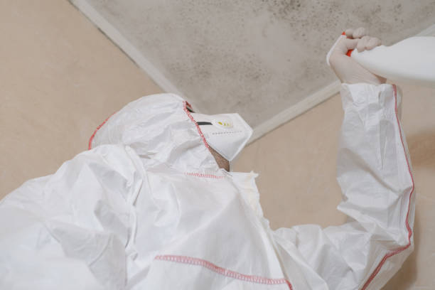 Best Crawl Space Mold Removal  in Lake Ripley, WI