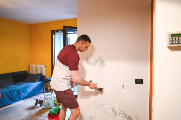 Best Mold Damage Repair  in Lake Ripley, WI