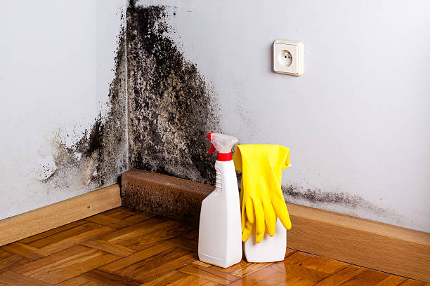 Water Damage Restoration in Lake Ripley, WI